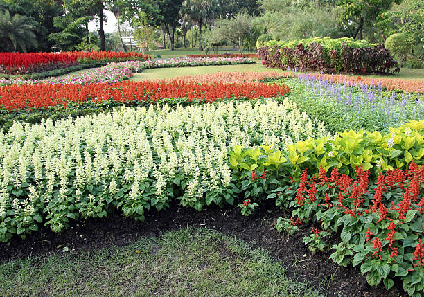 istock Colourful Flower in Formal Garden 464998533