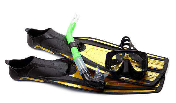 istock Mask, snorkel and flippers with water drops 464998671