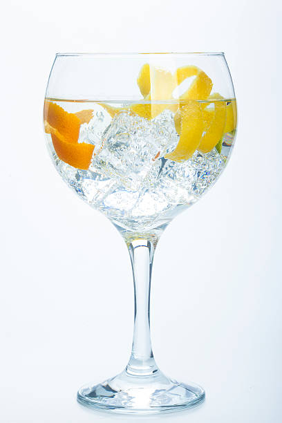 istock orange lemon and lime gin tonic isolated over white 464998763