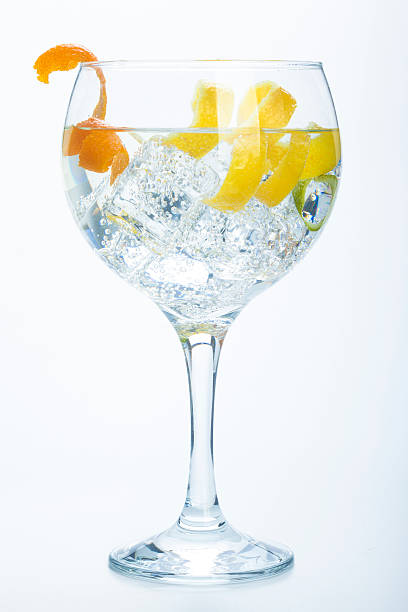istock orange lemon and lime gin tonic isolated over white 464998777