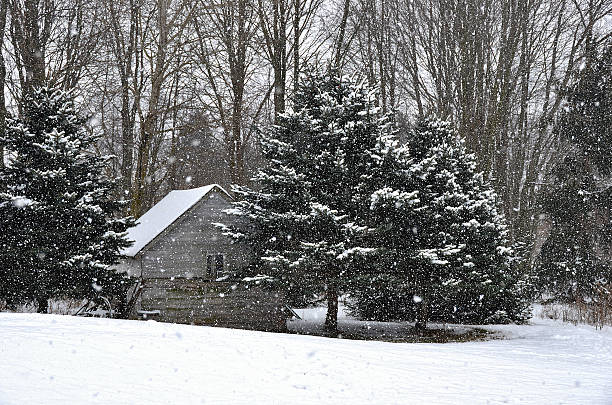 istock winter cabin in pine trees 464999759