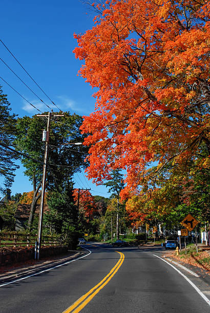 istock Connecticut plenty of colours 464999779