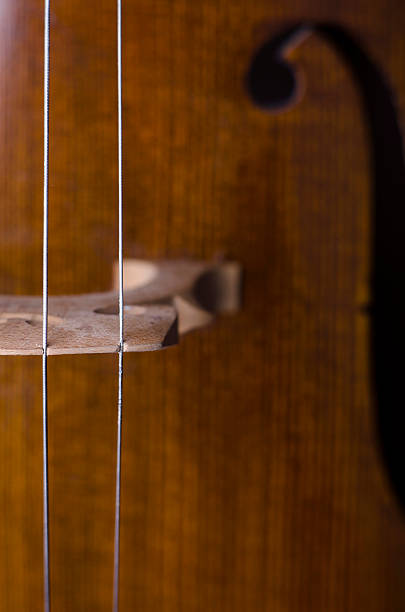 Violoncello-violino - foto stock
