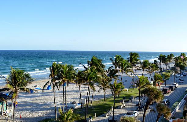 istock Beach. Palms and Street 465004187