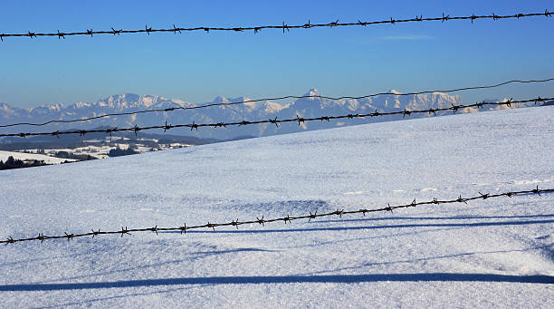 istock look by the fence 465004857