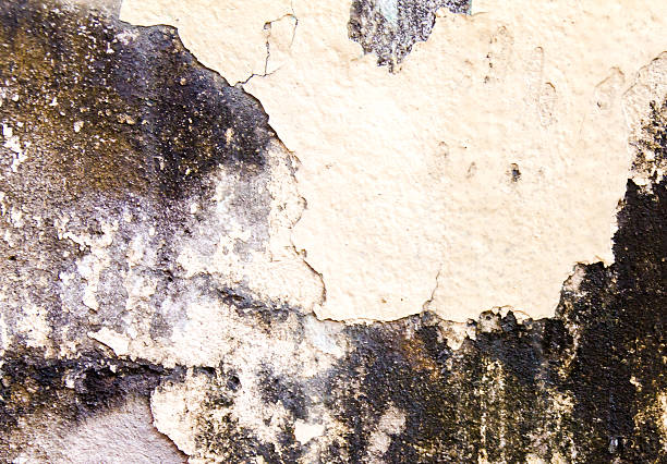 istock the concrete floor for the background 465006038