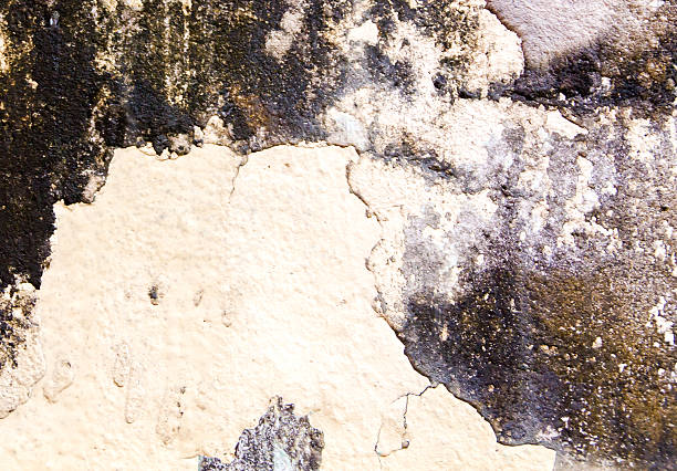 istock the concrete floor for the background 465006046