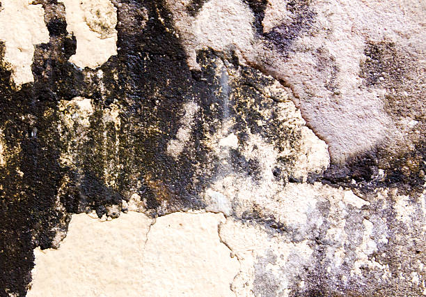 istock the concrete floor for the background 465006048