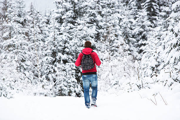 istock Young man hiking in wintry forest landscape 465006350