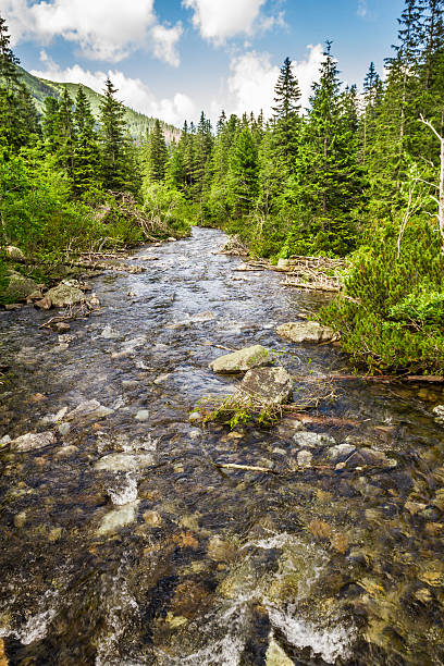 istock Crystal clear water from the mountains 465010909