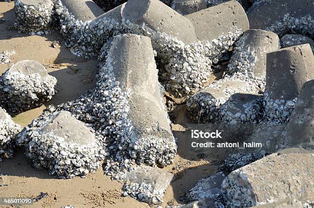 Tetrapods On The Beach Stock Photo - Download Image Now - 2015, Backgrounds, Beach