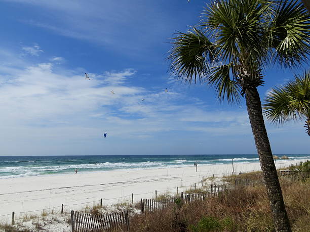 Windy Day Feb 21 2015 stock photo