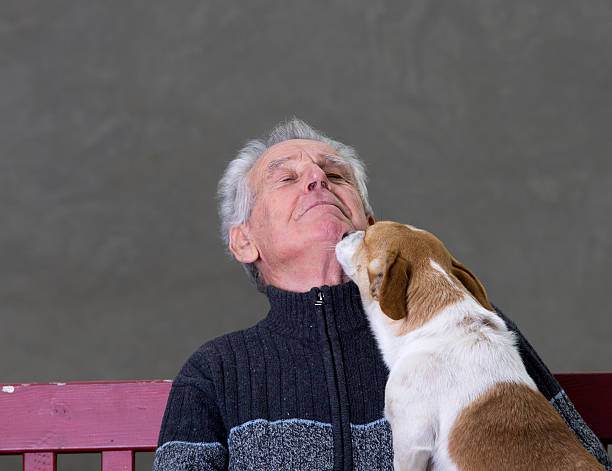 istock Dog kiss 465016133