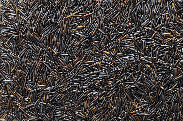 istock Background of wild rice 465017080