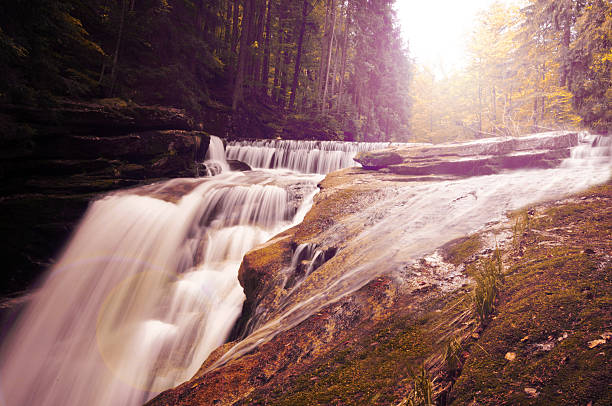 istock vintage photo of river in forest 465020188