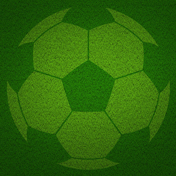 soccer ball  on green feld