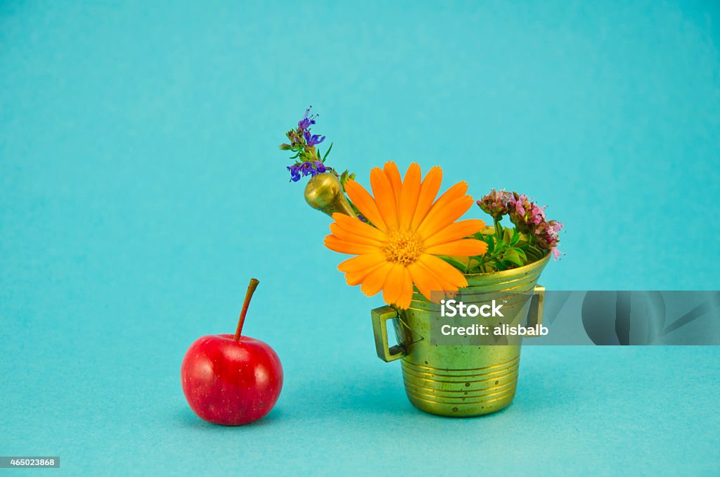 medical flowers, red apple and vintage brass mortar medical flowers, red apple and vintage brass mortar on blue background 2015 Stock Photo