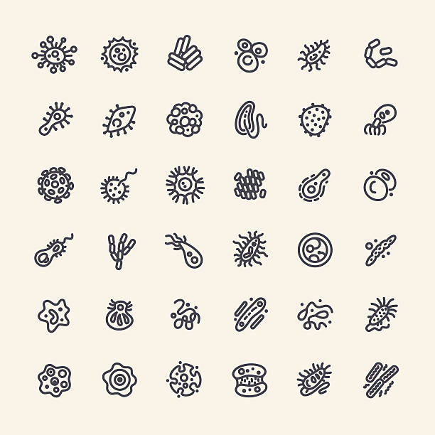 Set of 36 Icons with Bacteria and Germs Set of 36 Icons with Bacteria and Germs for Medical Design. Isolated on White Background. Clipping paths included in additional jpg format. dna virus stock illustrations