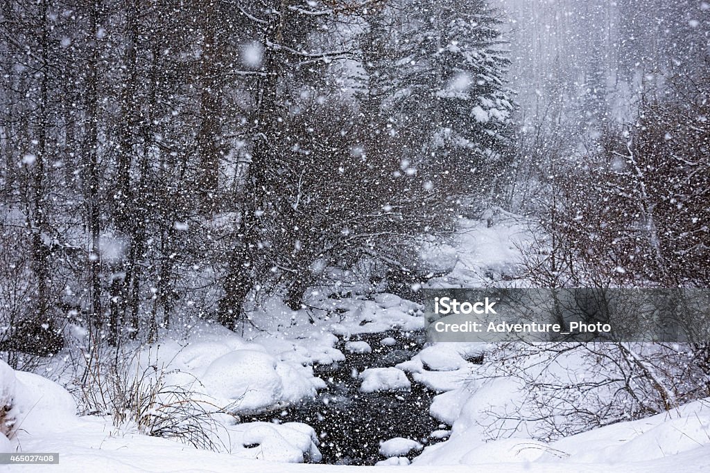 Snow Falling Sharp Snow Falling Down Heavy Stock Photo - Download Image Now - 2015, Aspen ...
