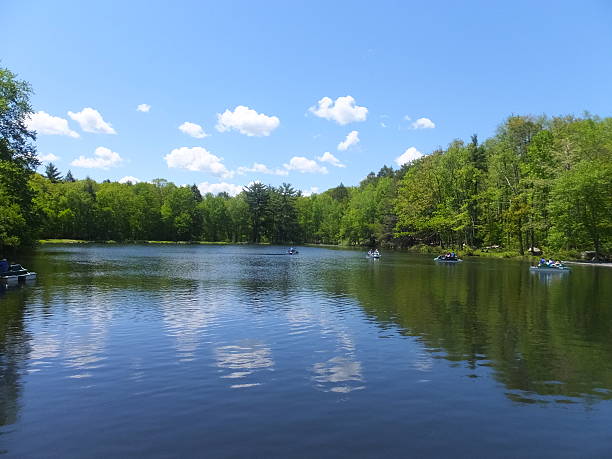 istock Twin Lakes at Bushkill Falls in the Poconos, Pennsylvania 465027552