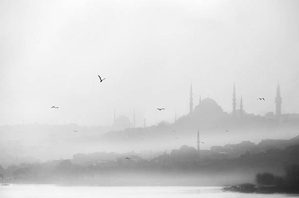 istock Golden Horn, New Mosque 465027957