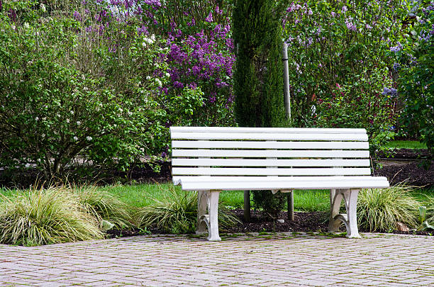 istock White garden bench on red paved walk 465028404