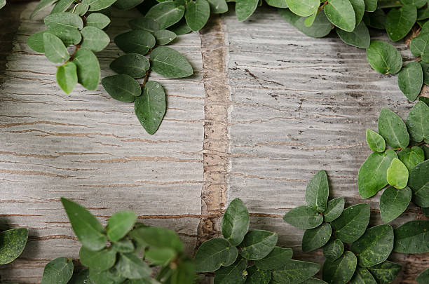 istock Wood texture and green leaves 465030832