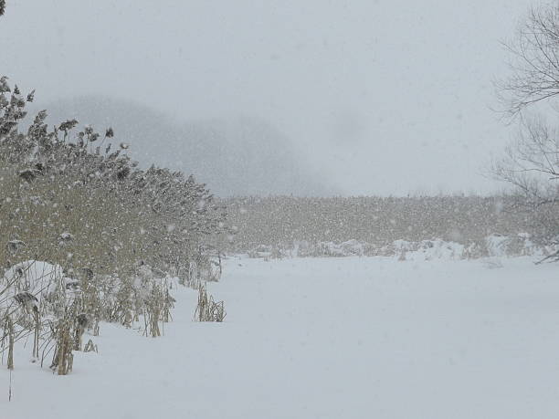 istock Frozen, snow covered creek in snowstorm 465031054
