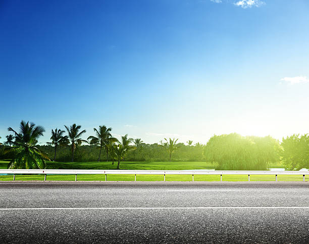 istock asphalt road and tropical forest 465031058