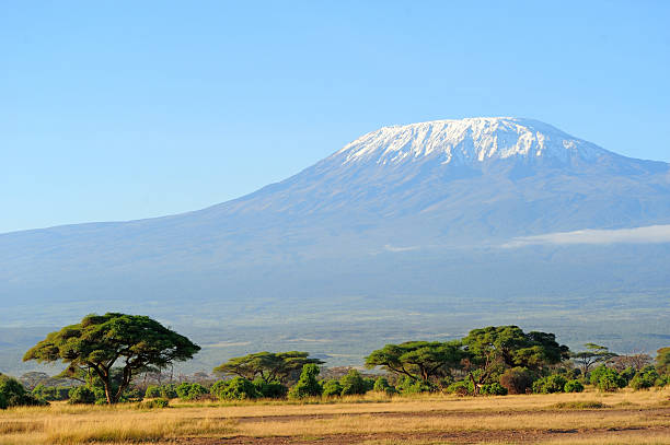 istock Snow on top of Mount Kilimanjaro 465032300