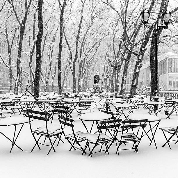 Bryant Park under a heavy snow in New York, No people in the picture. Camera Nikon D800, developed from Raw