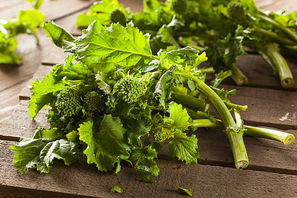 bio-dunkles grün broccoli rabe-rapini - turnip leaf vegetable green freshness stock-fotos und bilder