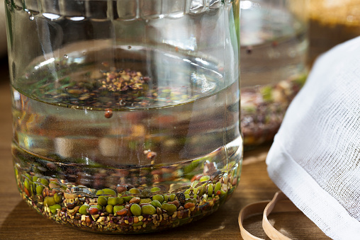 Mung beans and other beans and seeds in soaking in a sprouting jar.