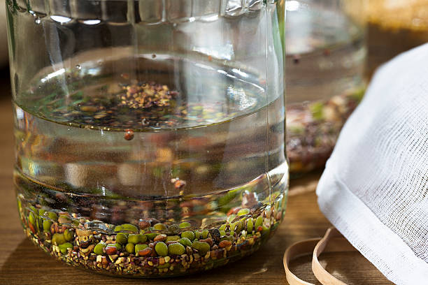 Soaking Beans for Sprouting Mung beans and other beans and seeds in soaking in a sprouting jar. drenched stock pictures, royalty-free photos & images