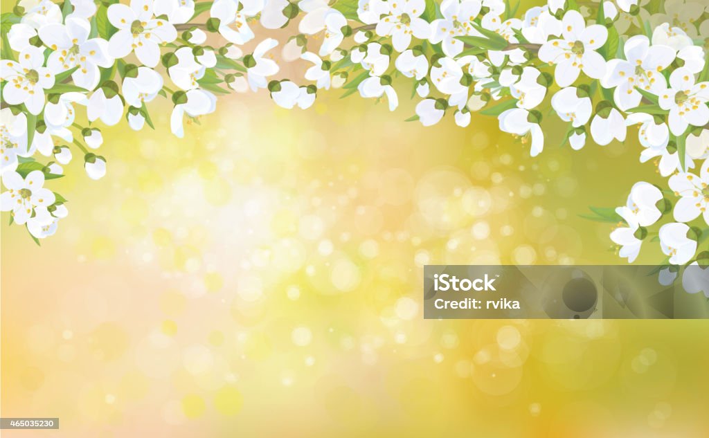 Vector blossoming branches of apple tree, spring background. Background is my creative handdrawing and you can use it for spring, summer, Easter design and etc, made in vector, Adobe Illustrator 10 EPS file, transparency effects used in file. 2015 stock vector