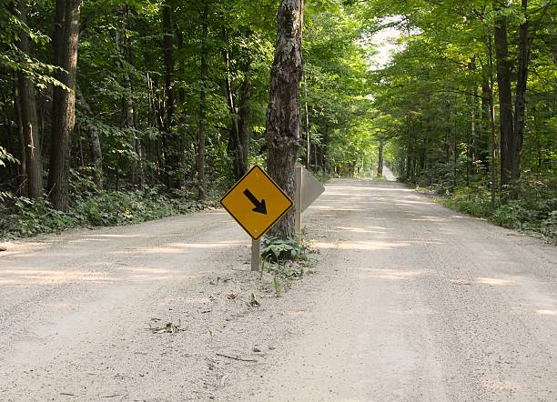 istock Unusual Tree In Middle Of The Road 465035952