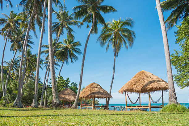 Bungalows on Paradise Beach – Rabbit island, Cambodia. Bungalows on Paradise Beach – Rabbit island, Cambodia. kep stock pictures, royalty-free photos & images