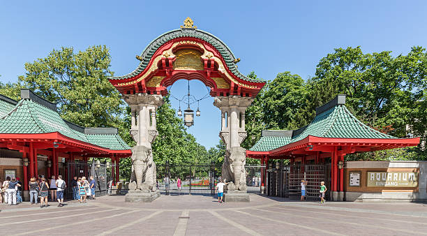 посетители, купить билет на берлинский зоопарк, германия - statue architecture sculpture formal garden стоковые фото и изображения