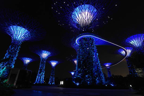 Gardens by the Bay in Singapore at night stock photo