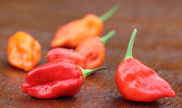 Bhut Jolokia chili peppers Bhut Jolokia chili peppers or the Naga Morich of Bangladesh raja stock pictures, royalty-free photos & images