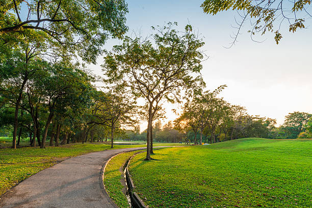 istock Peaceful park in the city with sun light 465042076