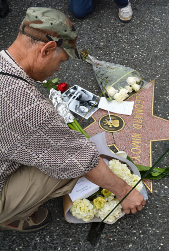 Hollywood, CA, USA - February 27, 2015:  A fan places flowers on Leonard Nimoy's star on the Hollywood Walk of Fame on February 27 2015.
