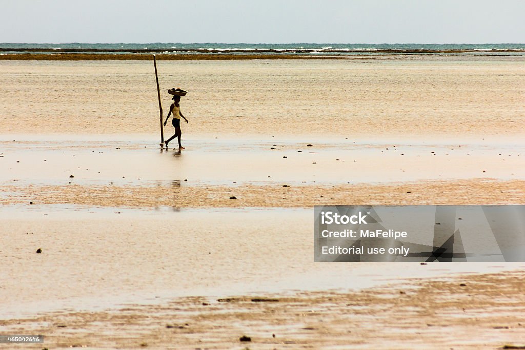 Fisherwoman Carrying Basket in Head Through Shallow Water Porto de Pedras, Alagoas, Brazil - February 7, 2015: Local fisherwoman carrying basket in her head in shallow water of Patacho Beach in low tide. 2015 Stock Photo