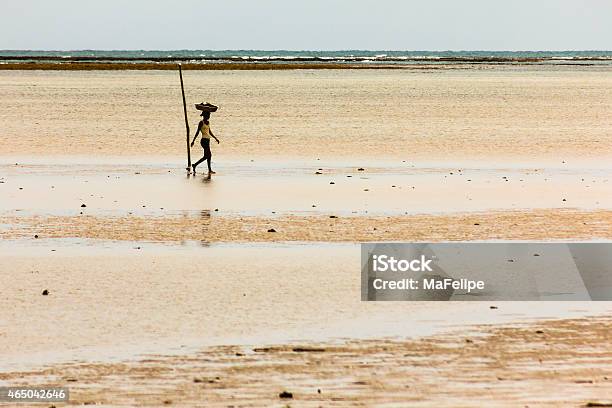 Fisherwoman Carrying Basket In Head Through Shallow Water Stock Photo - Download Image Now