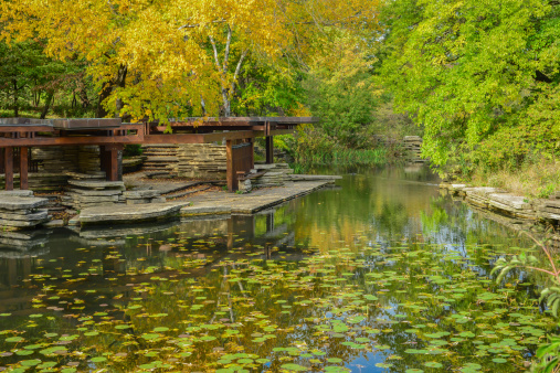 A serene, Asian inspired lilly pad pond