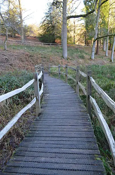 Photo of Boardwalk