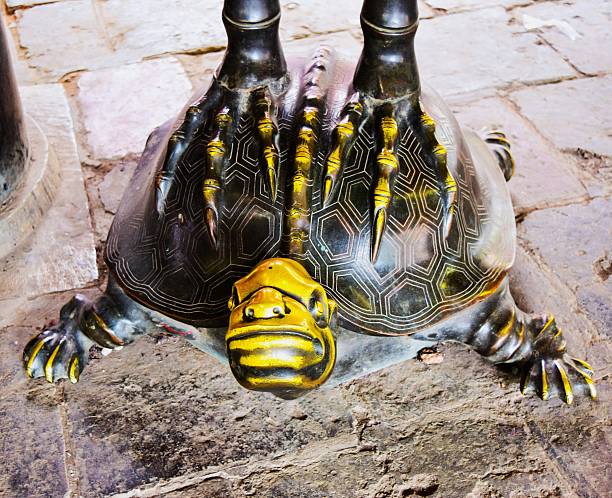 Gold turtle in Quoc Tu Giam Temple Ha Noi, Vietnam
