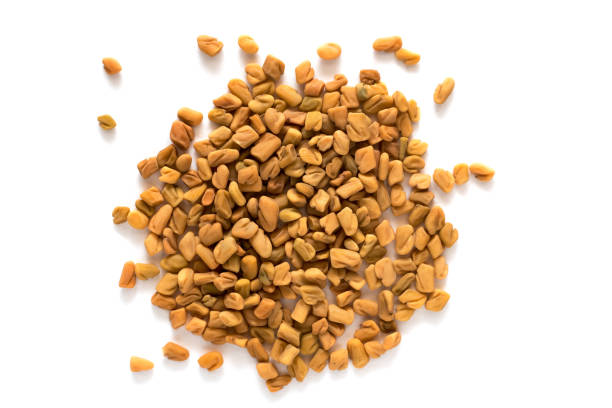Pile of fenugreek seeds on white background stock photo