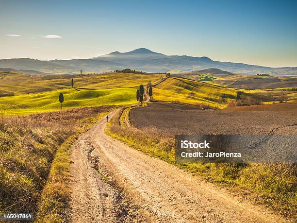 Cypress Trees On The Road In The Tuscan Landscape Stock Photo - Download Image Now - 2015, Agriculture, Dawn