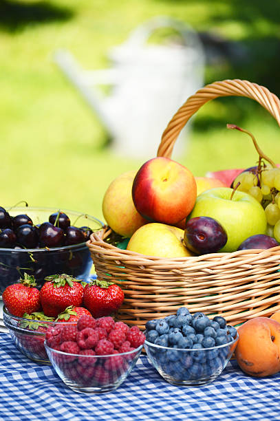 新鮮なオーガニックフルーツのバスケットの庭 - plum fruit basket wicker ストックフォトと画像
